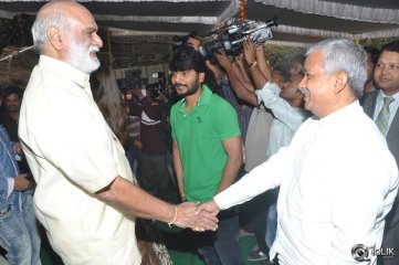 Bengal Tiger Movie Opening
